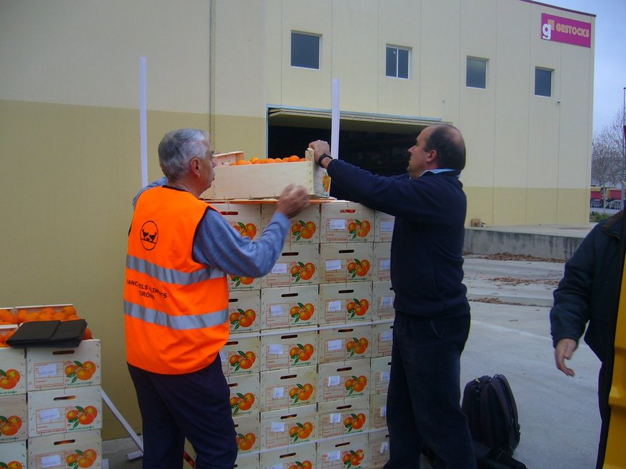 Federación Española de Bancos de Alimentos (FESBAL)