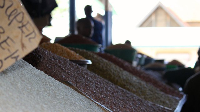 Proxecto de Formación de Técnicas Agrícolas. Terras Altas do Sur de Tanzania