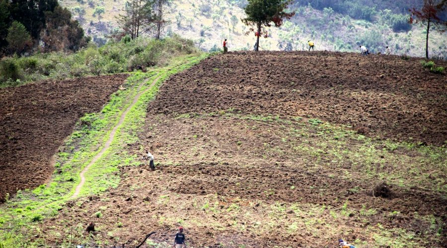 Farming Techniques Training Project. Southern Highlands of Tanzania