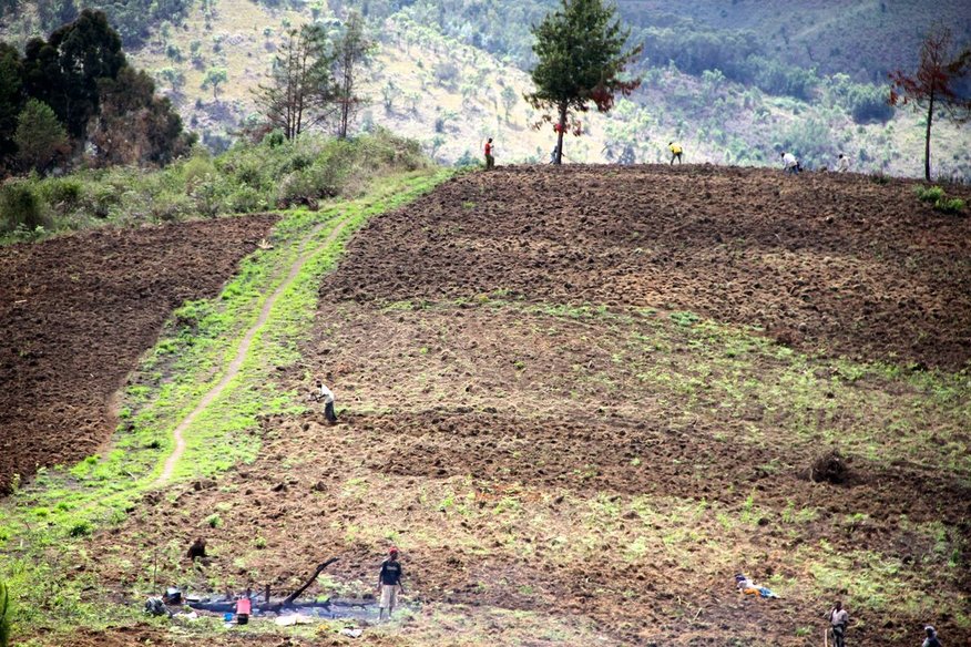 Proxecto de Formación de Técnicas Agrícolas. Terras Altas do Sur de Tanzania