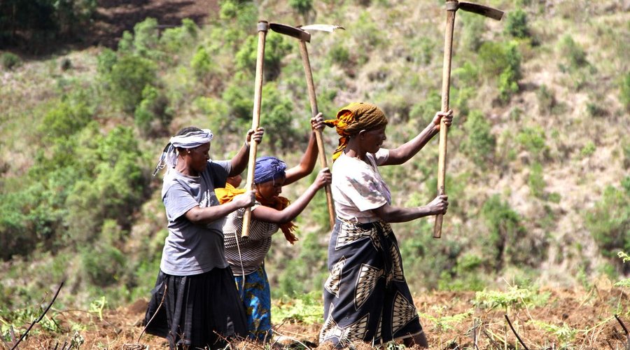 Farming Techniques Training Project. Southern Highlands of Tanzania