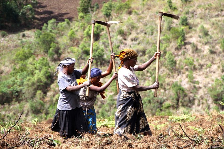 Proxecto de Formación de Técnicas Agrícolas. Terras Altas do Sur de Tanzania