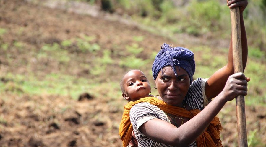 Farming Techniques Training Project. Southern Highlands of Tanzania