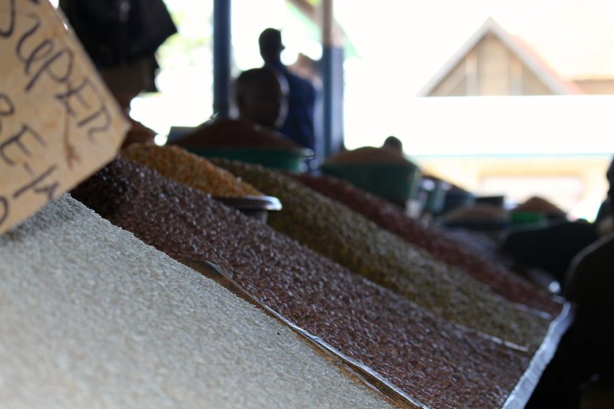Proxecto de Formación de Técnicas Agrícolas. Terras Altas do Sur de Tanzania