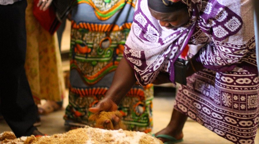 Farming Techniques Training Project. Southern Highlands of Tanzania