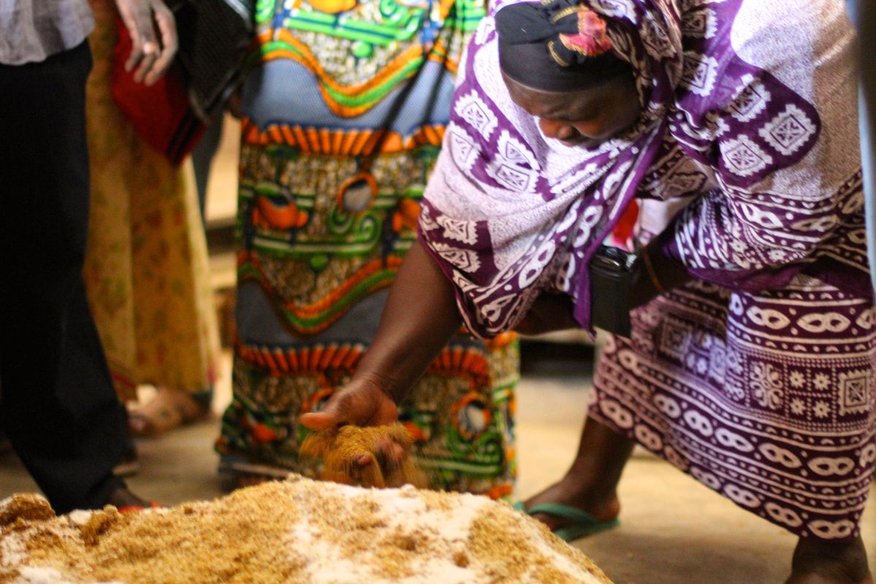 Proxecto de Formación de Técnicas Agrícolas. Terras Altas do Sur de Tanzania
