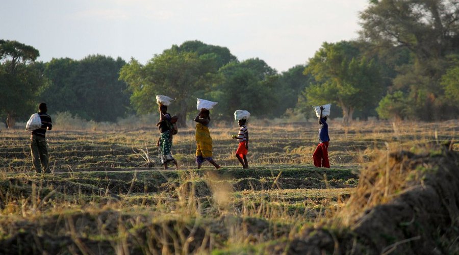 Farming Techniques Training Project. Southern Highlands of Tanzania