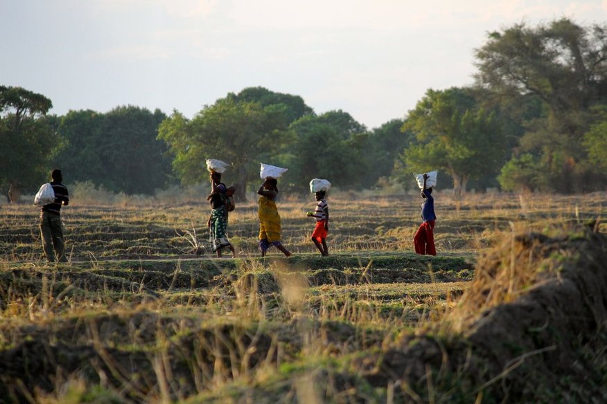 Proxecto de Formación de Técnicas Agrícolas. Terras Altas do Sur de Tanzania