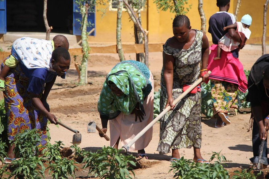 Proxecto de Formación de Técnicas Agrícolas. Terras Altas do Sur de Tanzania