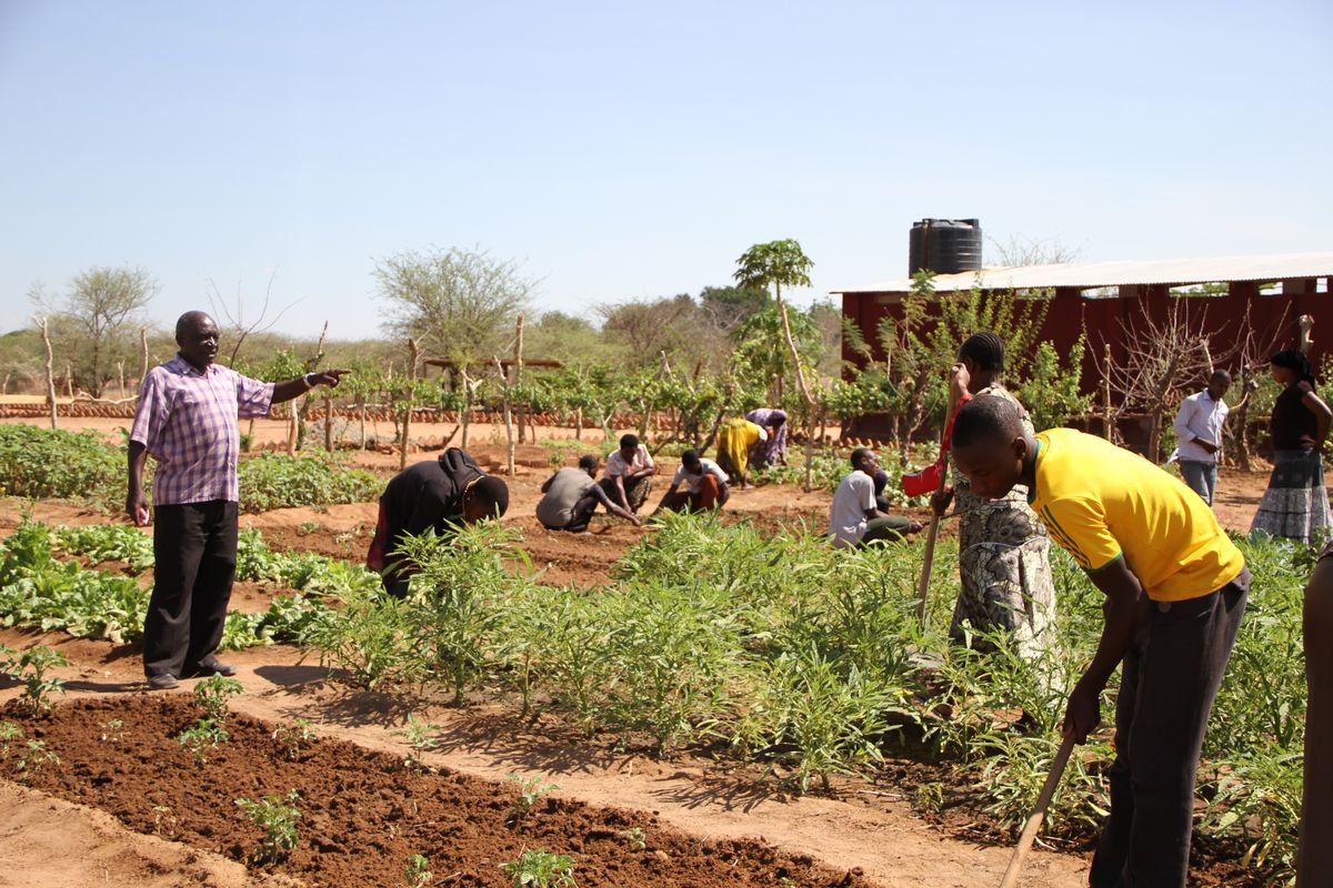 Proyecto de Formación de Técnicas Agrícolas. Tierras Altas del Sur de Tanzania