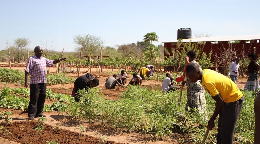 Farming Techniques Training Project. Southern Highlands of Tanzania