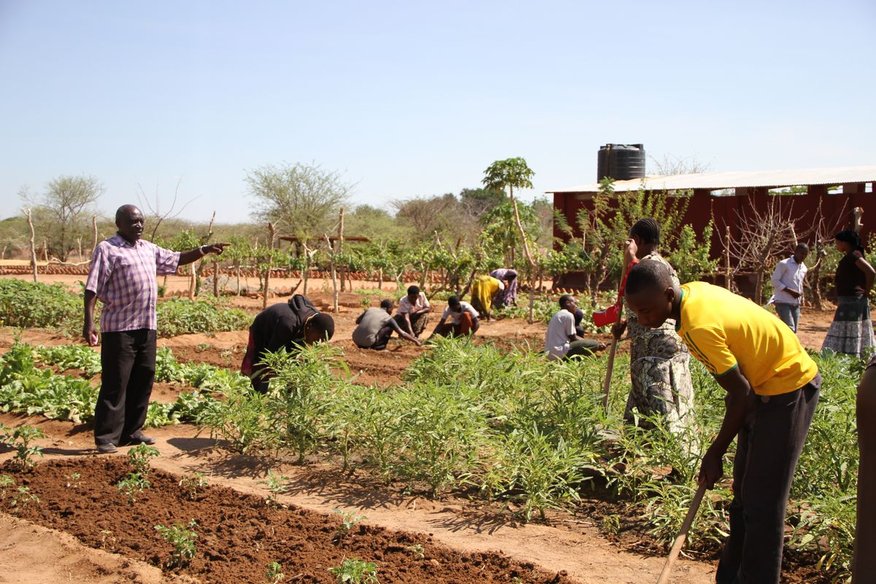 Proxecto de Formación de Técnicas Agrícolas. Terras Altas do Sur de Tanzania