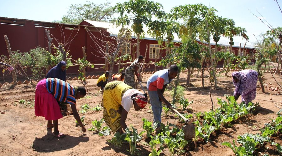 Farming Techniques Training Project. Southern Highlands of Tanzania