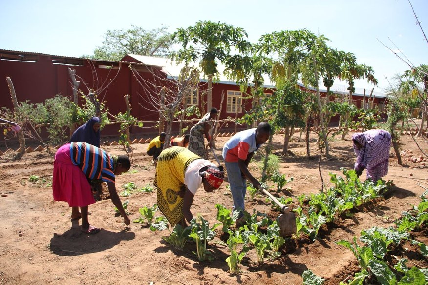 Proxecto de Formación de Técnicas Agrícolas. Terras Altas do Sur de Tanzania
