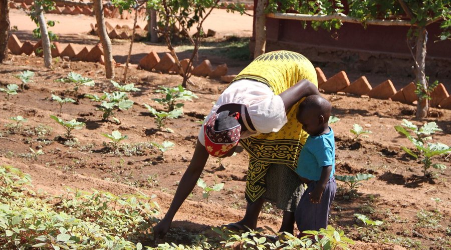 Farming Techniques Training Project. Southern Highlands of Tanzania