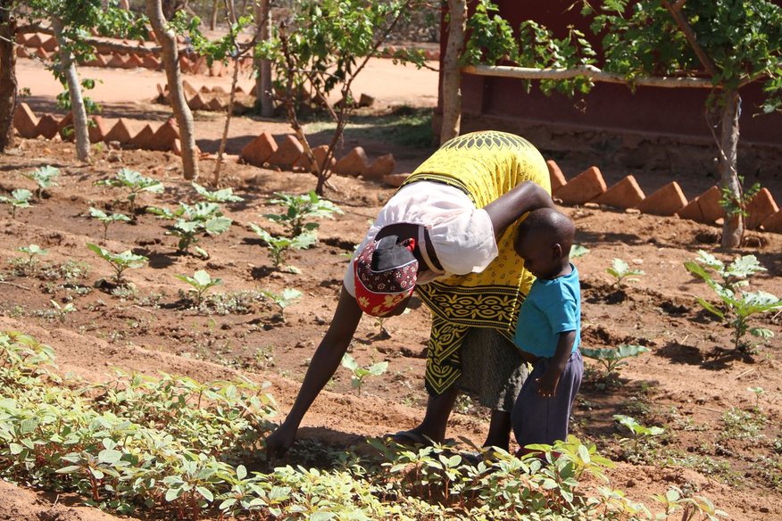 Proxecto de Formación de Técnicas Agrícolas. Terras Altas do Sur de Tanzania