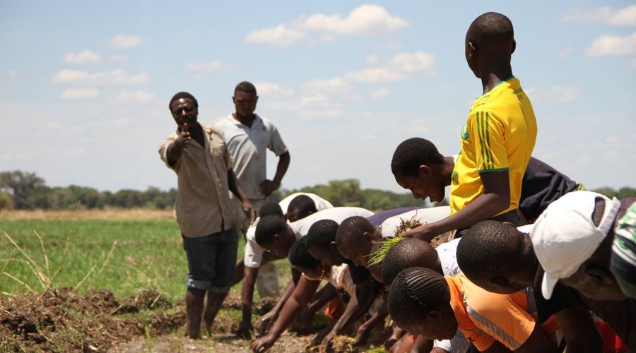 Farming Techniques Training Project. Southern Highlands of Tanzania