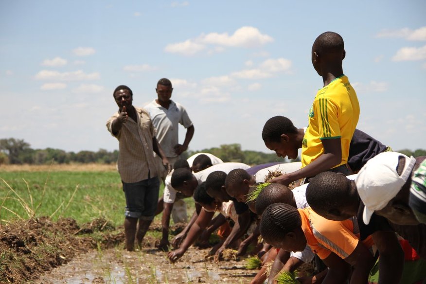Proxecto de Formación de Técnicas Agrícolas. Terras Altas do Sur de Tanzania