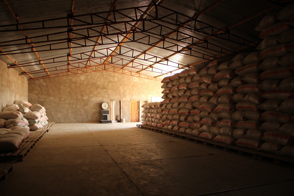Proyecto de Formación de Técnicas Agrícolas. Tierras Altas del Sur de Tanzania